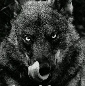 Meet your Posher, Juelz